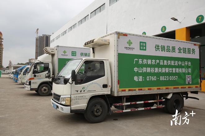 廣東供銷農產品直供配送中山服務中心開業，一站式打包服務助力農產品高效流通